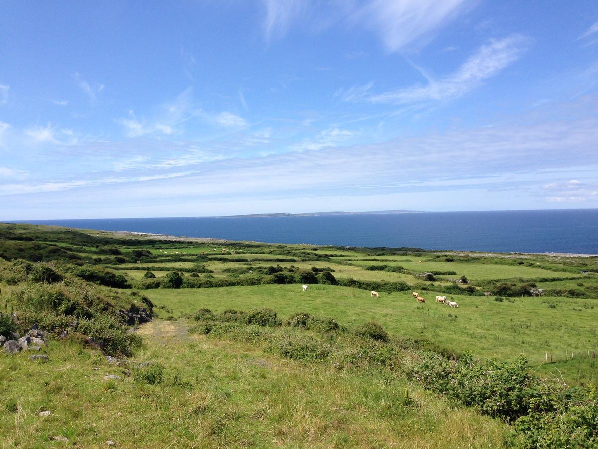Wild Atlantic Breeze Guesthouse Doolin Exterior foto